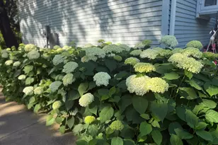 2720 64th St E, Inver Grove Heights, MN 55076 - Photo 82