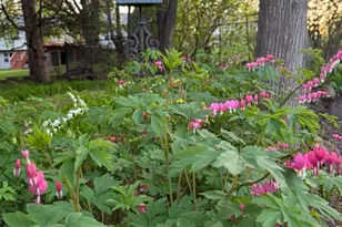 2720 64th St E, Inver Grove Heights, MN 55076 - Photo 78