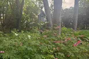 2720 64th St E, Inver Grove Heights, MN 55076 - Photo 76