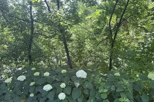 2720 64th St E, Inver Grove Heights, MN 55076 - Photo 70