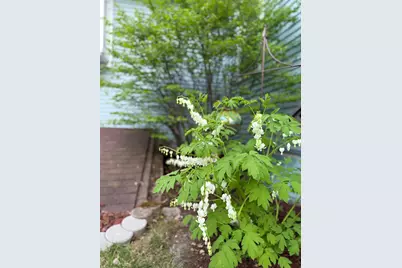 2720 64th Street E, Inver Grove Heights, MN 55076 - Photo 72