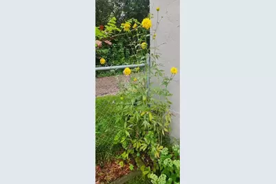 1019 Ash Street, Alexandria, MN 56308 - Photo 74