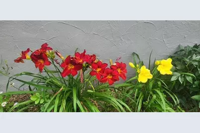 1019 Ash Street, Alexandria, MN 56308 - Photo 66