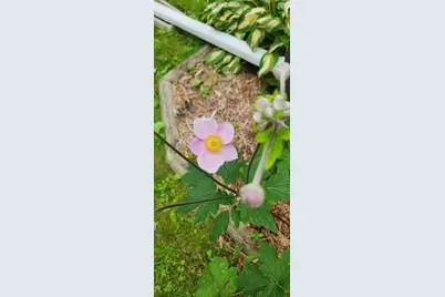 1019 Ash Street, Alexandria, MN 56308 - Photo 70