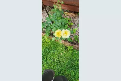 1019 Ash Street, Alexandria, MN 56308 - Photo 64