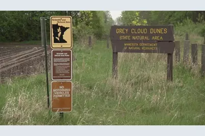 10492 Goodview Avenue S, Cottage Grove, MN 55016 - Photo 26