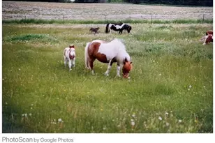 823 Northview Dr, Hudson, WI 54016 - Photo 6