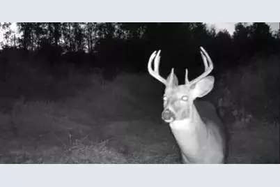 Tbd Cty Rd 115 +/- 146.62 County Road 115, Saint Augusta, MN 56301 - Photo 22