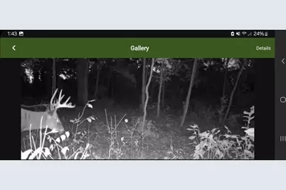 Tbd Cty Rd 115 +/- 146.62 County Road 115, Saint Augusta, MN 56301 - Photo 40