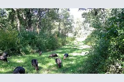 Tbd Cty Rd 115 +/- 146.62 County Road 115, Saint Augusta, MN 56301 - Photo 76