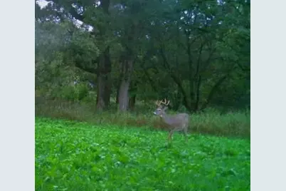 Tbd Cty Rd 115 +/- 146.62 County Road 115, Saint Augusta, MN 56301 - Photo 12