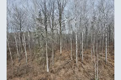 30014 Natureview Lane, Grand Rapids, MN 55744 - Photo 38