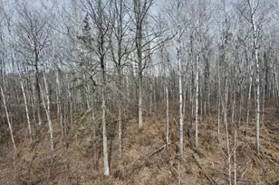 30014 Natureview Ln, Grand Rapids, MN 55744 - Photo 38