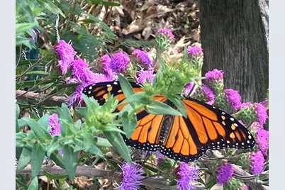 3974 Fairview Avenue N, Arden Hills, MN 55112 - Photo 52