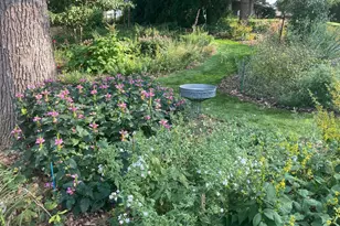 3974 Fairview Ave N, Arden Hills, MN 55112 - Photo 50