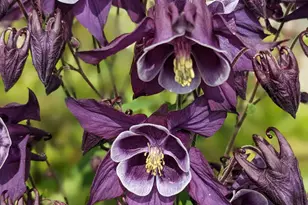 6207 Hillsboro Dr N W, Rochester, MN 55901 - Photo 26