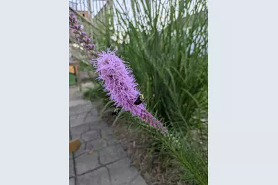 6207 Hillsboro Drive NW, Rochester, MN 55901 - Photo 28