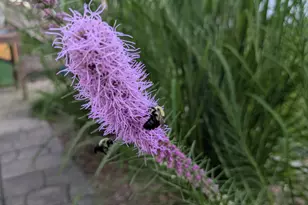 6207 Hillsboro Dr N W, Rochester, MN 55901 - Photo 28