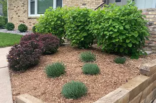 6529 41st Ave N, Crystal, MN 55427 - Photo 54