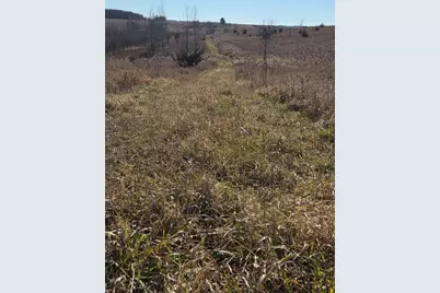 36999 141st Lane, Montgomery, MN 56069 - Photo 8