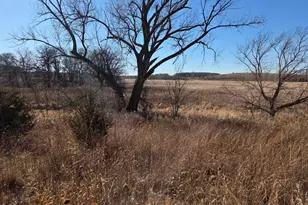 36999 141st Ln, Montgomery, MN 56069 - Photo 1