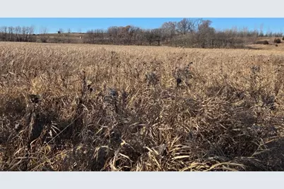 36999 141st Lane, Montgomery, MN 56069 - Photo 22