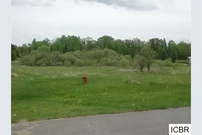 Lt 9 Blk 4 Aspen Dr, Deer River, MN 56636 - Photo 1