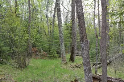 Tbd County Rd 19, Deer River, MN 56636 - Photo 8