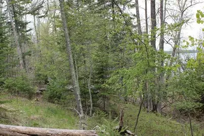 Tbd County Rd 19, Deer River, MN 56636 - Photo 14