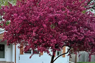 501 Glencoe St NE, Fridley, MN 55432 - Photo 34