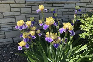 5616 Beard Ave S, Edina, MN 55410 - Photo 44