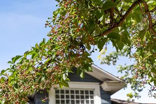 1120 Broadway N, Fargo, ND 58102 - Photo 38