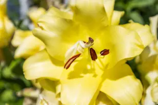 1120 Broadway N, Fargo, ND 58102 - Photo 42