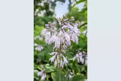 1120 Broadway N, Fargo, ND 58102 - Photo 44