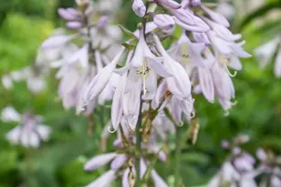 1120 Broadway N, Fargo, ND 58102 - Photo 44