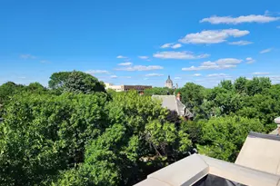 438 Portland Ave, Saint Paul, MN 55102 - Photo 24