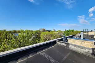 438 Portland Ave, Saint Paul, MN 55102 - Photo 34