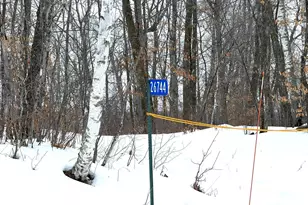 26744 Ross Lake Rd, Aitkin, MN 56431 - Photo 1