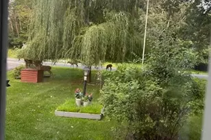 19062 Riverview Ln NE, New London, MN 56273 - Photo 30