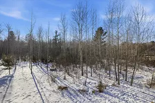 30031 Natureview Ln, Grand Rapids, MN 55744 - Photo 54