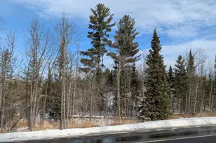 Tbd Hwy 22, Cook, MN 55703 - Photo 1