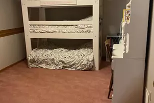 313 3rd Street N, Kerkhoven, MN 56252 - Photo 50