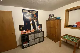 313 3rd Street N, Kerkhoven, MN 56252 - Photo 44