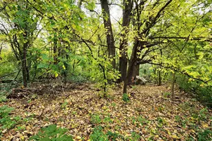 2005 122nd, Burnsville, MN 55337 - Photo 50