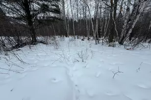 1450 5th St, Wright, MN 55798 - Photo 36