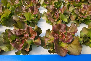 3746 SW 16th Ave SW, Pine River, MN 56474 - Photo 32