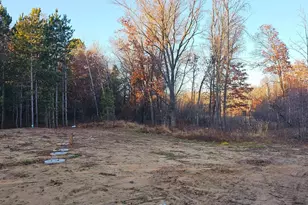 27532 Dahlia St NW, Isanti, MN 55040 - Photo 48