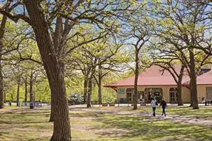 4824 E 53rd St, Minneapolis, MN 55417 - Photo 40