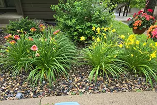 165 Birnamwood Dr, Burnsville, MN 55337 - Photo 32