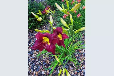 165 Birnamwood Drive, Burnsville, MN 55337 - Photo 36